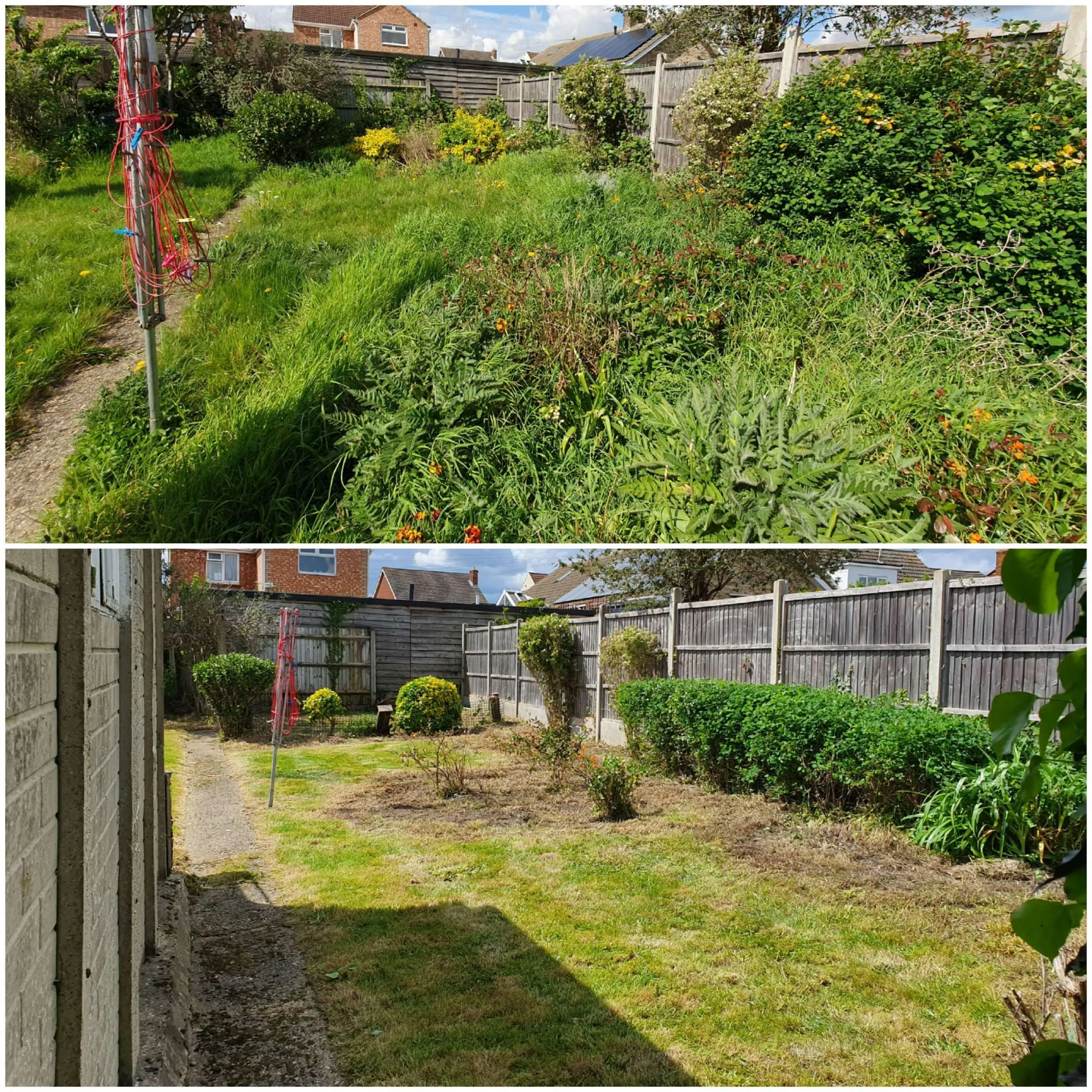 Weeding & Lawn Mowing